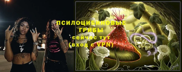 шишки Верхнеуральск