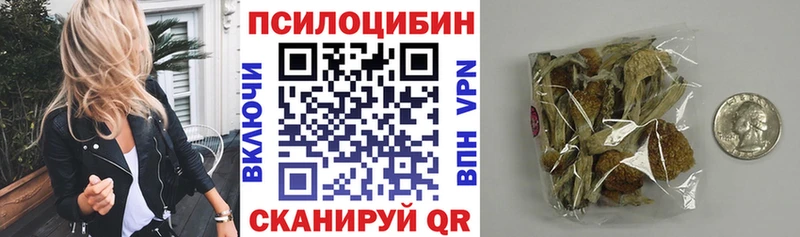 Псилоцибиновые грибы Psilocybine cubensis  Тосно 